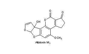 Aflatoxins M