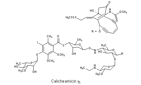 Calicheamicins