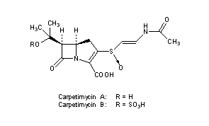 Carpetimycins