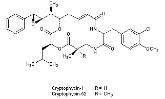 Cryptophycins