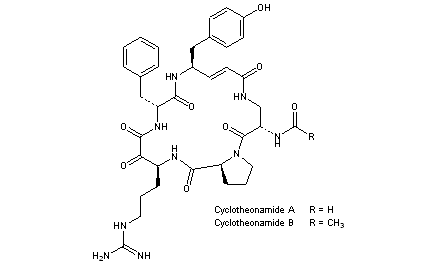 Cyclotheonamides