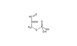 Glyceraldehyde 3-Phosphate