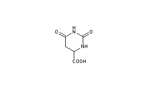 Hydroorotic Acid