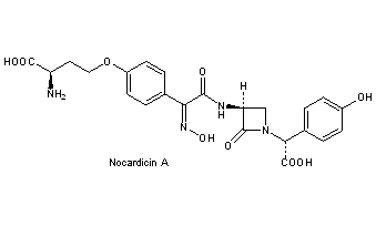 Nocardicin(s)