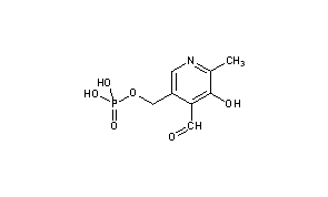 Pyridoxal 5-Phosphate