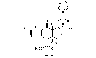 Salvinorins