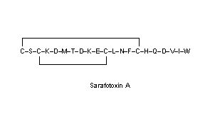 Sarafotoxins
