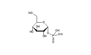 alpha-Glucose-1-phosphate