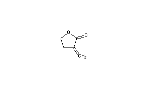 alpha-Methylene Butyrolactone