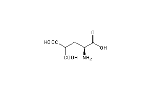 gamma-Carboxyglutamic Acid
