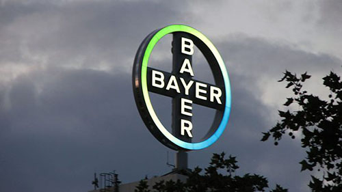 bayer-605x340.jpg