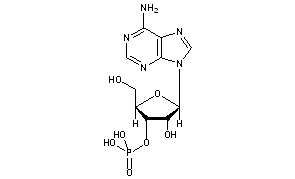 3'-Adenylic Acid