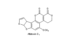 Aflatoxins G