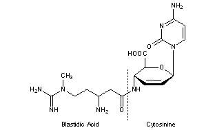 Blasticidin S