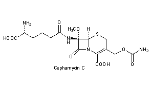 Cephamycins