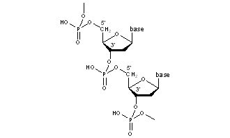 Deoxyribonucleic Acid