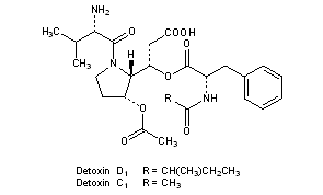Detoxin Complex