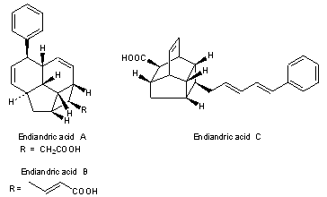 Endiandric Acids
