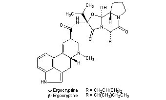 Ergocryptine