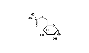 Glucose-6-phosphate