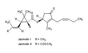 Jasmolins