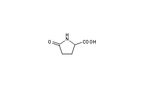 L-Pyroglutamic Acid