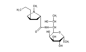 Lincomycin