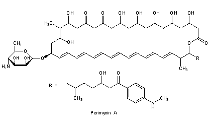 Perimycin