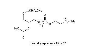 Platelet Activating Factor