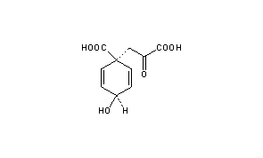 Prephenic Acid