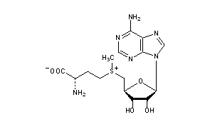 S-Adenosylmethionine