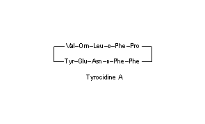 Tyrocidine