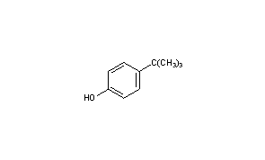 p-tert-Butylphenol