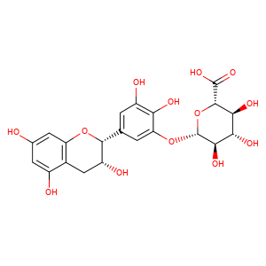 epigallocatechin-3-glucuronide